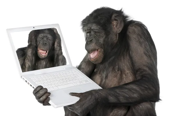 Monkey looking on a computer screen — Stock Photo, Image