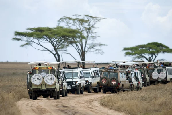 Транспортные средства на сафари в Национальном парке Серенгети, Серенгети, Танзания, Африка — стоковое фото