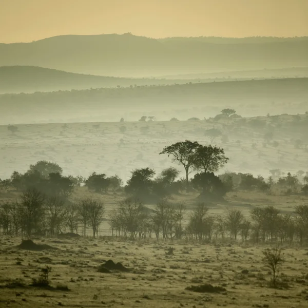 Africa landscape Parque Nacional del Serengeti, Serengeti, Tanzania — Foto de Stock