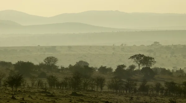 Vista panorâmica do Serengeti, Tanzânia, África — Fotografia de Stock