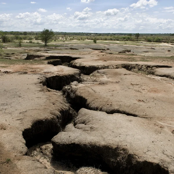 Paisagem africana seca e rachada, Tanzânia, África — Fotografia de Stock