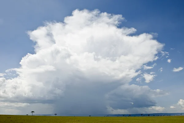 Rain cloud over Africa landscape, Serengeti National Park, Seren — Stock Photo, Image