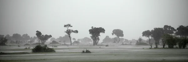 Afrika krajiny, národní park serengeti, serengeti, Tanzanie — Stock fotografie