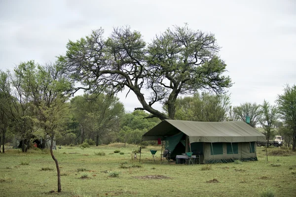 Tente dans le parc national du Serengeti, Serengeti, Tanzanie — Photo