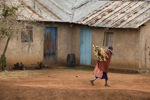 Žena, která nosí dříví přes vesnici, Tanzanie, Afrika — Stock fotografie