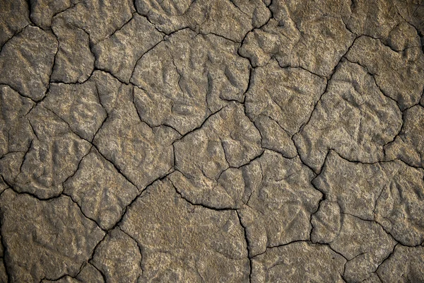 Textured dry ground of a salt lake — Stock Photo, Image
