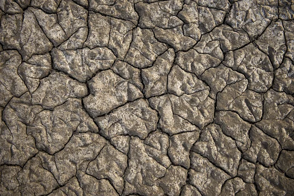 Texturált száraz talajon a sós-tó — Stock Fotó