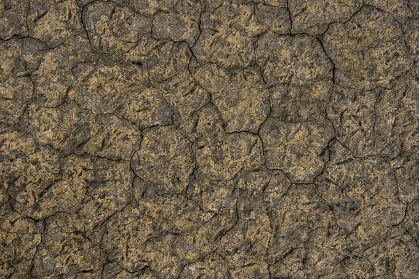 Terreno seco texturizado de um lago salgado — Fotografia de Stock