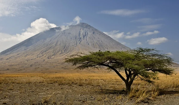 Tanzani yanardağ, ol doinyo lengai, Tanzanya, Afrika — Stok fotoğraf