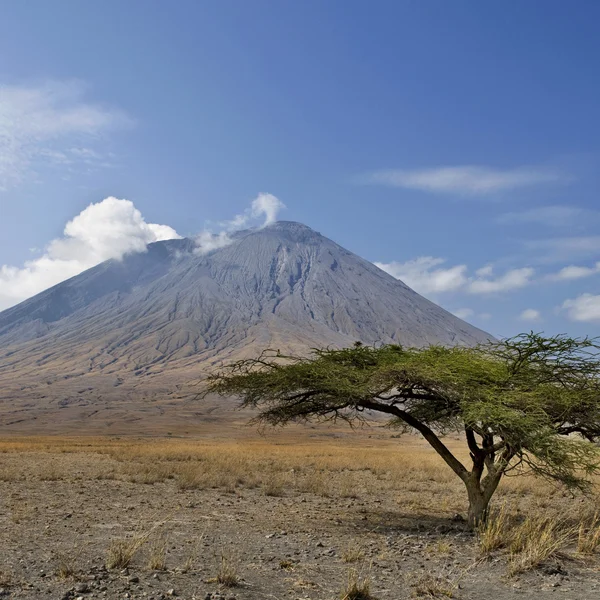 Tanzani 火山、ol オルドイニョレンガイ山、タンザニア、アフリカ — ストック写真