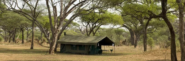Landschap met tent, tanzania, Afrika — Stockfoto