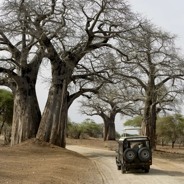 Toprak yol üzerinde Jeep — Stok fotoğraf