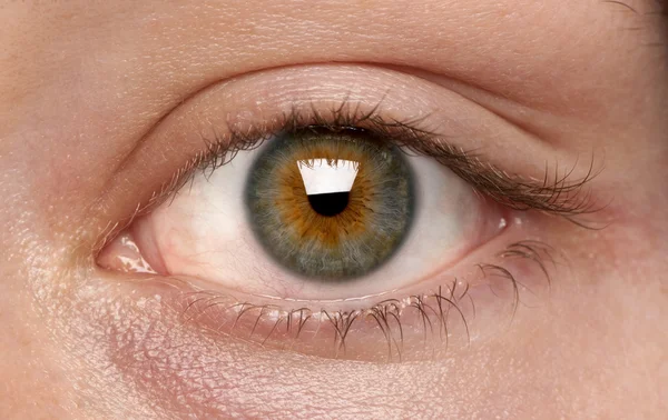Gros plan de l "œil humain — Photo