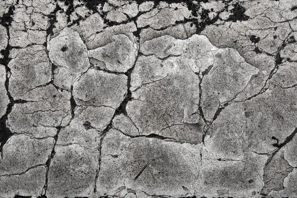Abstraktní černobílá textura — Stock fotografie