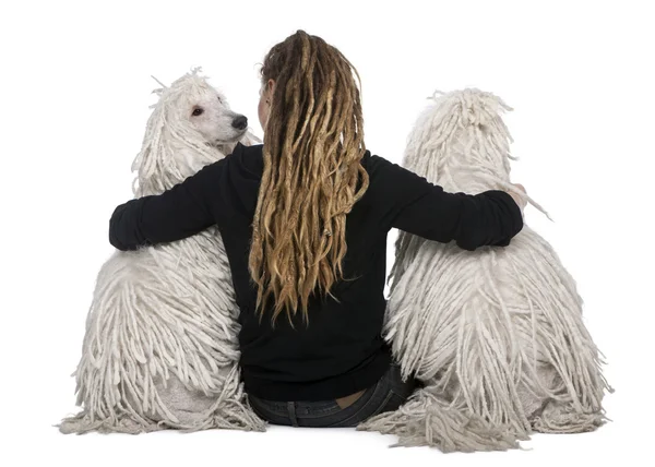 Πίσω όψη των δύο λευκό σχοινόδετο επίπεδο poodles και ένα κορίτσι με dreadlocks κάθεται μπροστά από το λευκό φόντο — Φωτογραφία Αρχείου