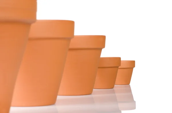 Flowerpot in a row — Stock Photo, Image
