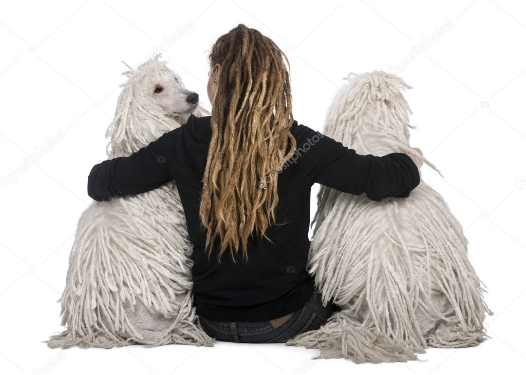 Rear view of two White Corded standard Poodles and a girl with dreadlocks sitting in front of white background