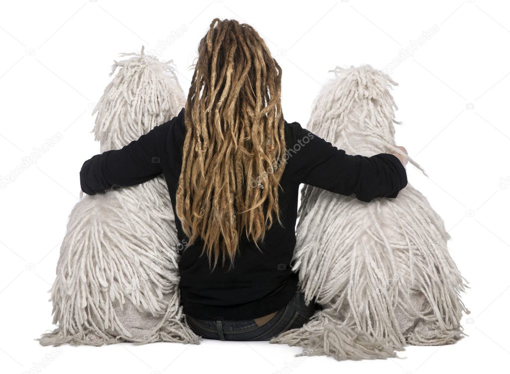 Rear view of two White Corded standard Poodles and a girl with dreadlocks sitting in front of white background
