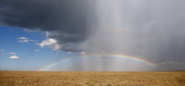 Rainbow, serengeti Milli Parkı, Tanzanya, Afrika