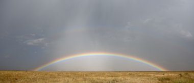 Rainbow, serengeti Milli Parkı, Tanzanya, Afrika