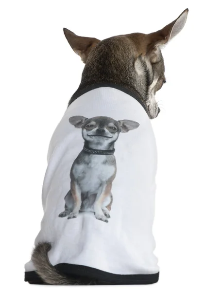Chihuahua in einem T-Shirt mit einem Foto von sich, 3 Jahre alt, vor weißem Hintergrund — Stockfoto