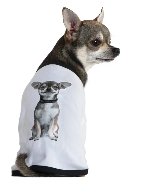 Chihuahua vestido com uma camiseta com uma foto de si mesmo, 3 anos, na frente do fundo branco — Fotografia de Stock