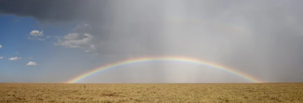Rainbow at the Serengeti National Park, Tanzania, Africa — Stock Photo, Image