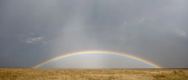 Rainbow at the Serengeti National Park, Tanzania, Africa — Stock Photo, Image