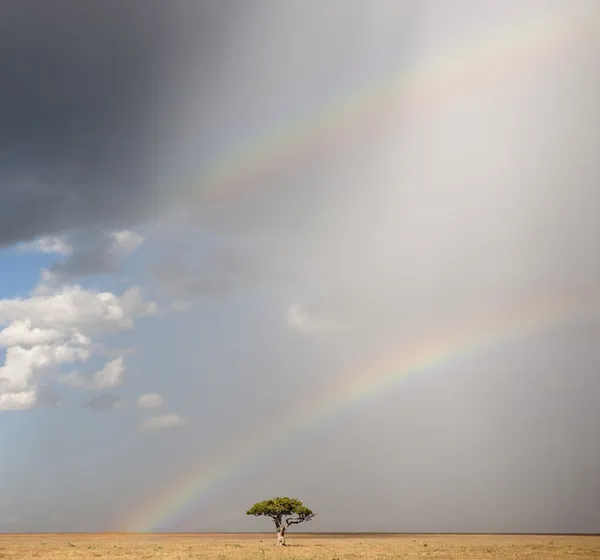Arcobaleno al Parco Nazionale del Serengeti, Tanzania, Africa — Foto Stock