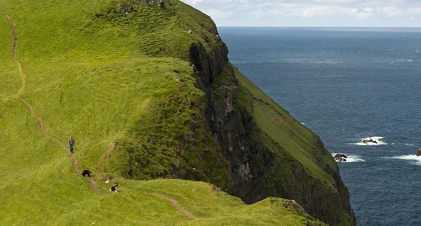 Man and his dogs hiking on Mykines, Faroe Islands — Stock Photo, Image