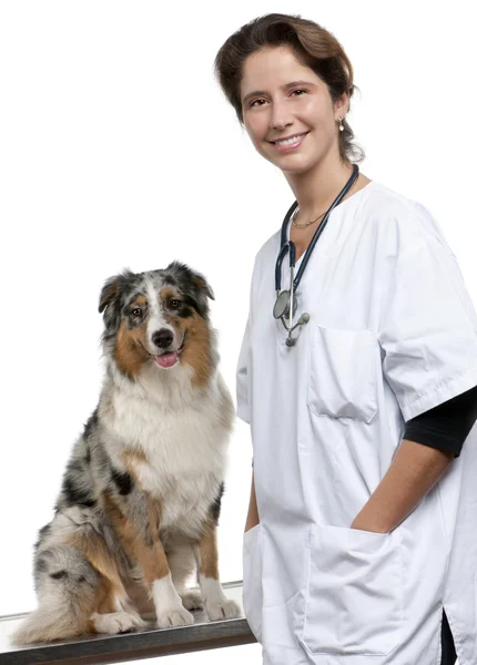 Vet standing next to an Australian Shepherd in front of white background — Stock Photo, Image