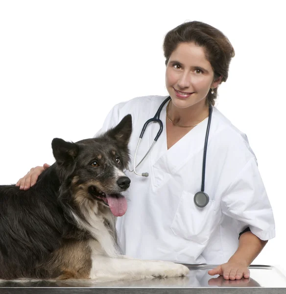Vet standing next to a Border collie in front of white background — Stock Photo, Image