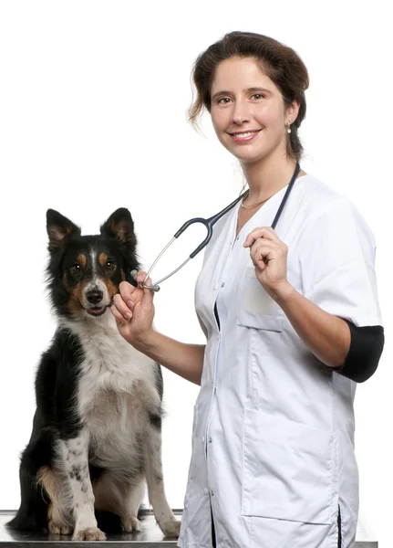 Vet standing next to a Border collie in front of white background — Stock Photo, Image