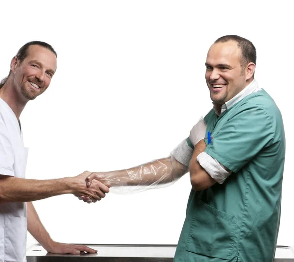 Veterinari che stringono la mano davanti allo sfondo bianco — Foto Stock