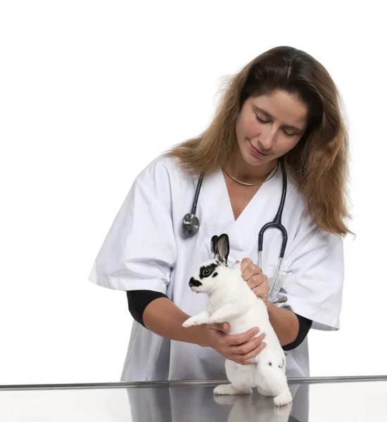 Vet examining a Dalmatian rabbit in front of white background — Stock Photo, Image