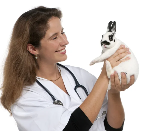 Veterinář při pohledu na dalmatském králíka před bílým pozadím — Stock fotografie