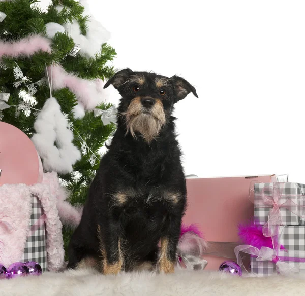 Mischlingshund, 4 Jahre alt, mit Weihnachtsbaum und Geschenken vor weißem Hintergrund — Stockfoto