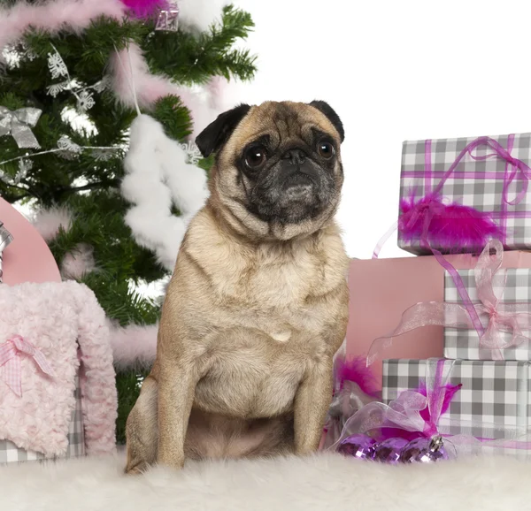 Pug, 4 jaar oud, met kerstboom en geschenken voor witte achtergrond — Stockfoto