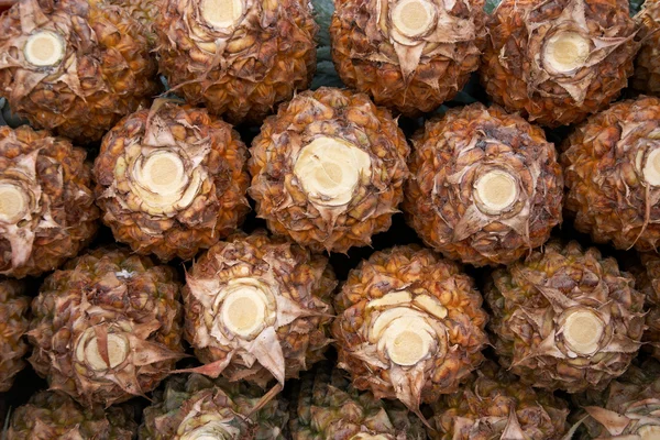 Närbild av hög moget ananas Stockbild