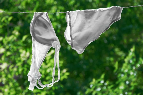 Panties and bra drying Stock Photo