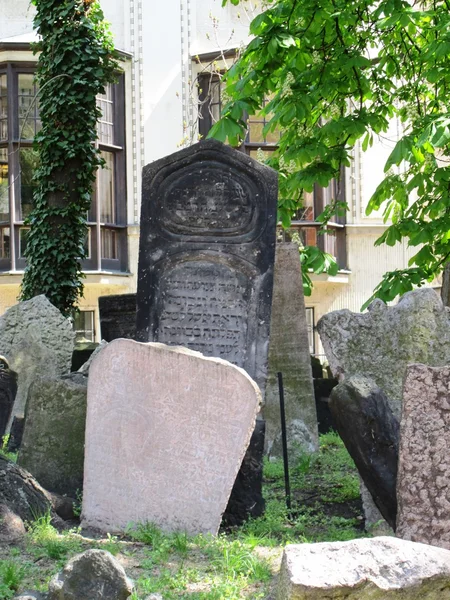 Régi zsidó temető Prágában — Stock Fotó