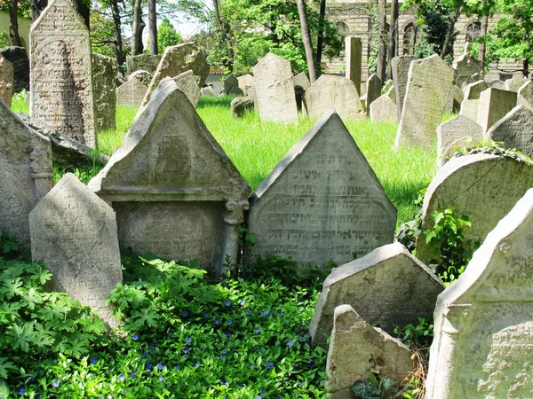 Ancien cimetière juif de Prague — Photo
