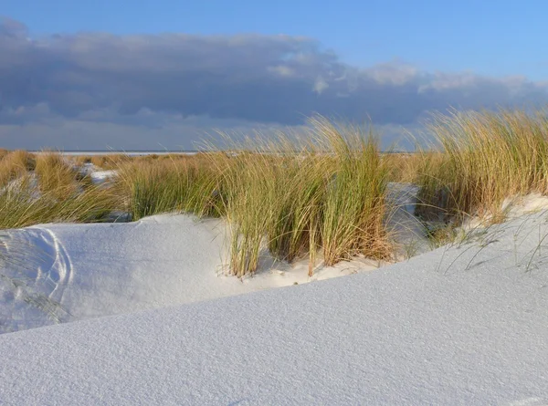 Paesaggio delle dune innevate - Isola di Borkum — Foto Stock