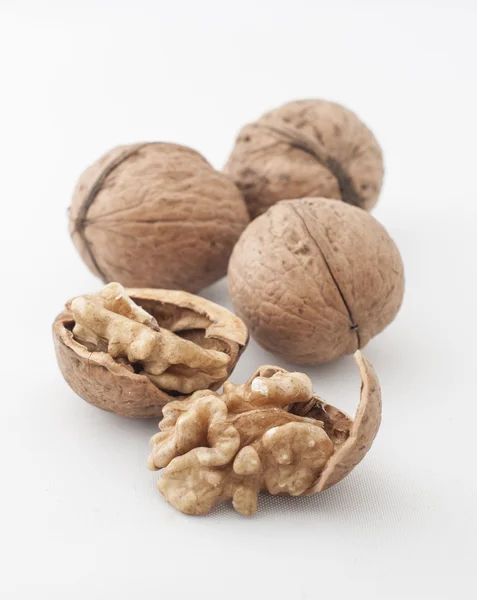 stock image Walnuts