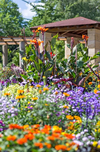 Um canteiro de flores colorido em um parque — Fotografia de Stock