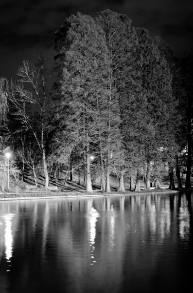 Noc v parku — Stock fotografie