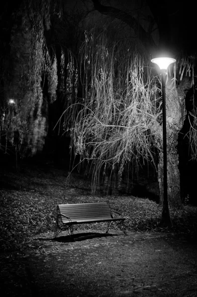 Een nacht in het park — Stockfoto