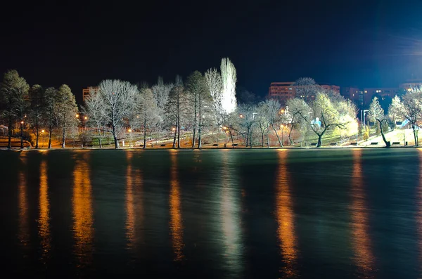 stock image A night in the park