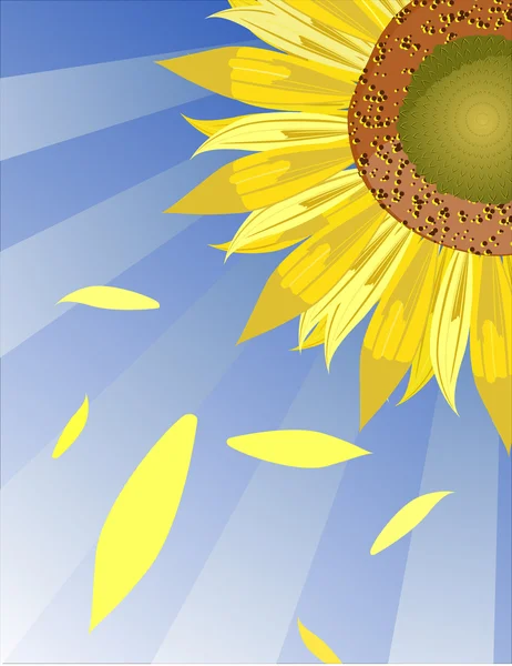Соняшник — стоковий вектор