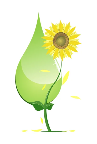 Biodiesel — Image vectorielle